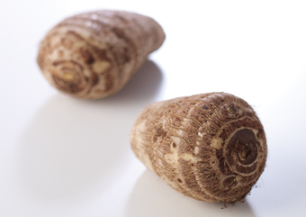 これまでのレシピ集