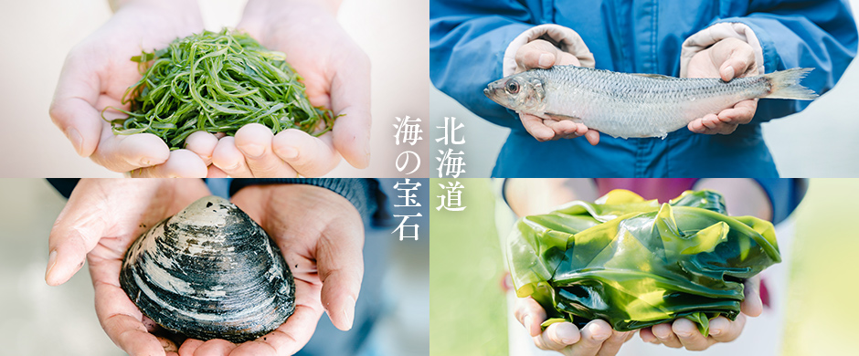 北海道 海の宝石