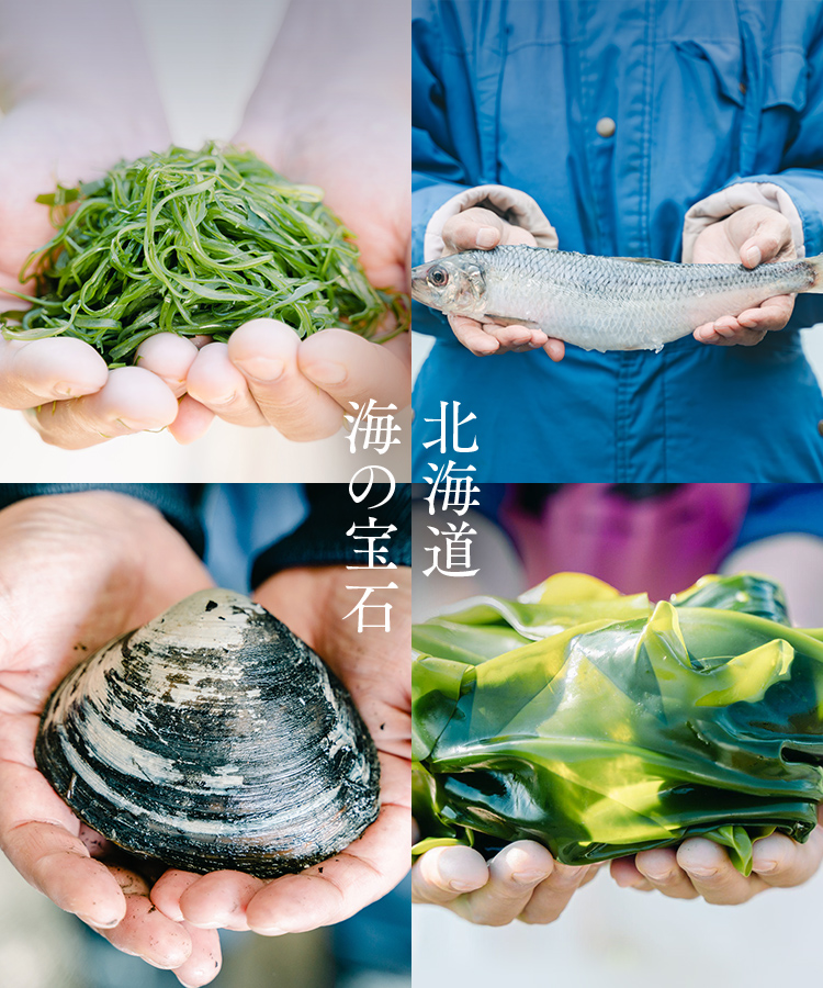 北海道 海の宝石