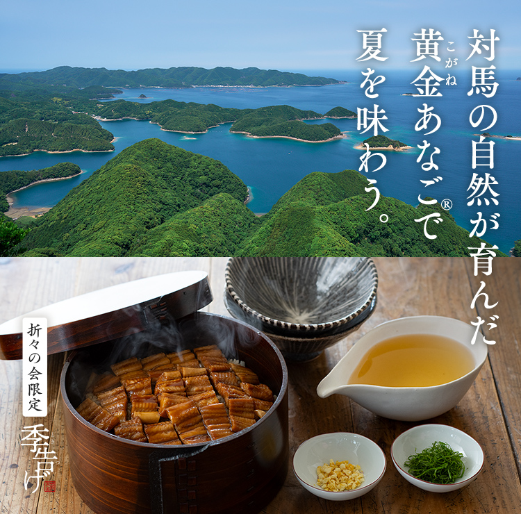 対馬の自然が育んだ黄金あなご®で夏を味わう。