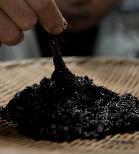 佐賀県有明海産 初摘み一番海苔