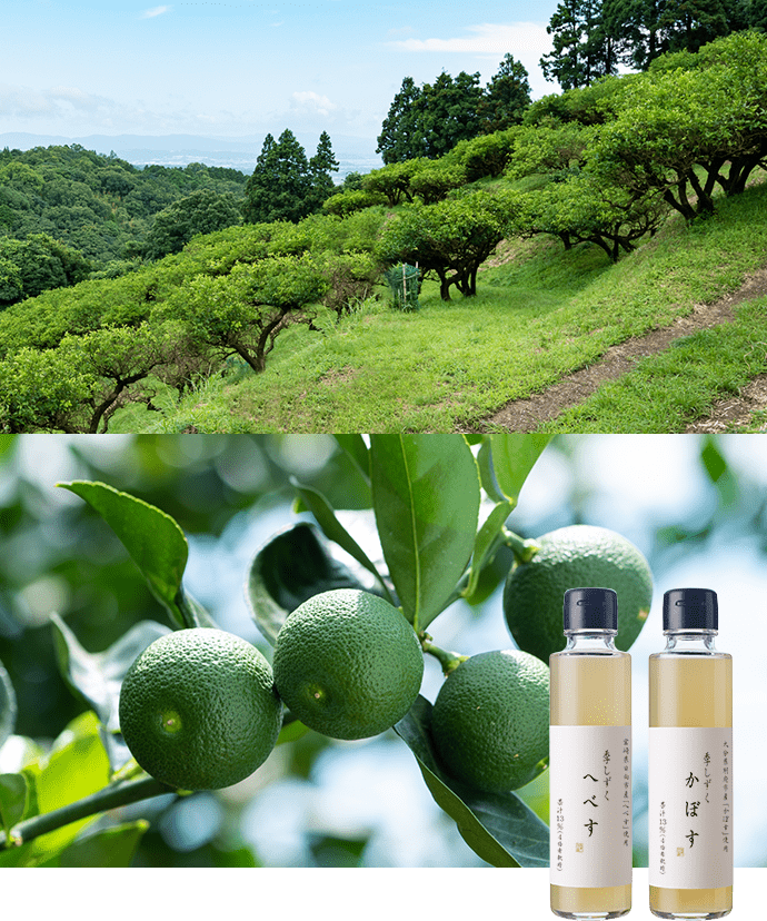 宮崎県日向市産へべす、大分県別府市産かぼす使用『季しずく』