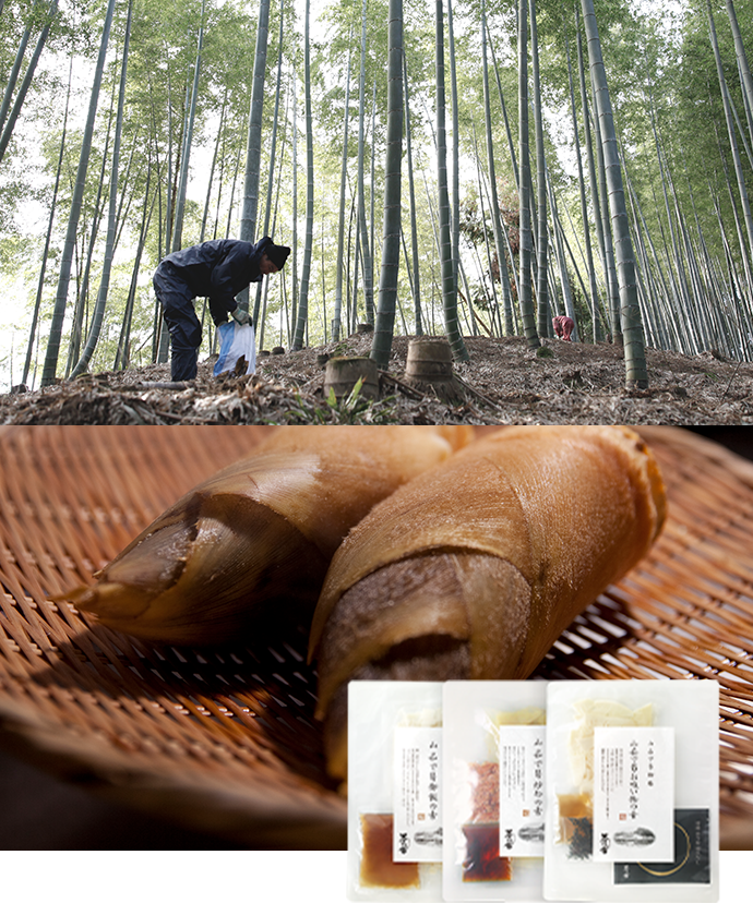 福岡県八女産 掘りたて山茹で筍使用『山茹で筍御膳』